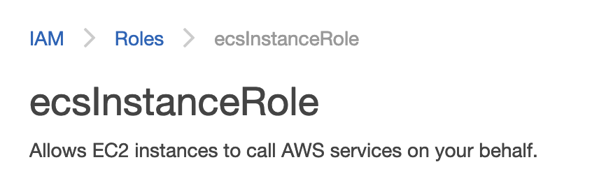 ECS Instance Role